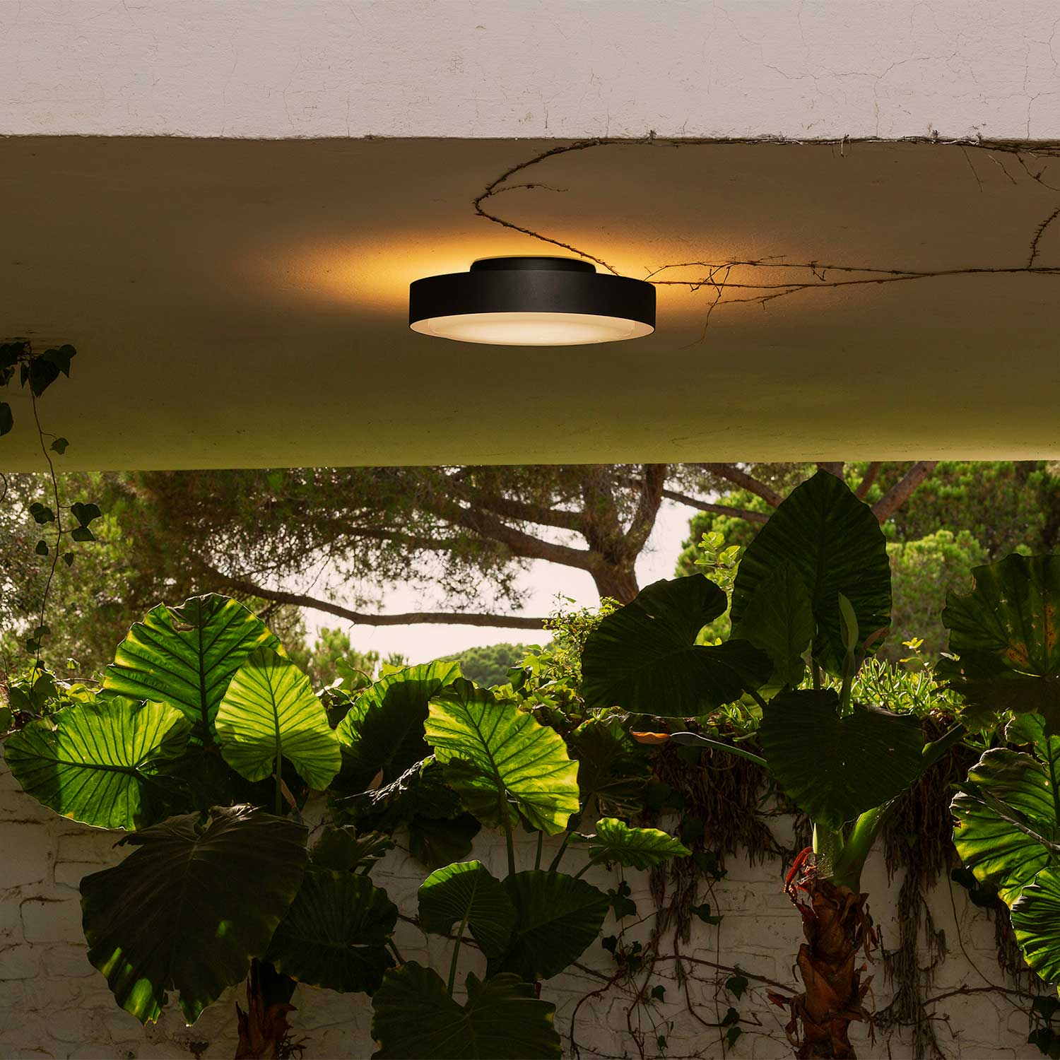 Plaff-on 33 IP54 outdoor wall and ceiling light - Lampefeber