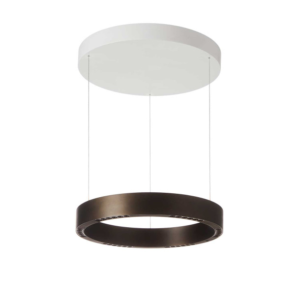 Arcella SMALL