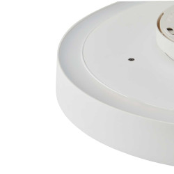 Avela 36 Wall/Ceiling White