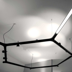 Calabronet Pendel System