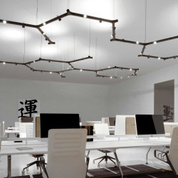 Calabronet Pendel System