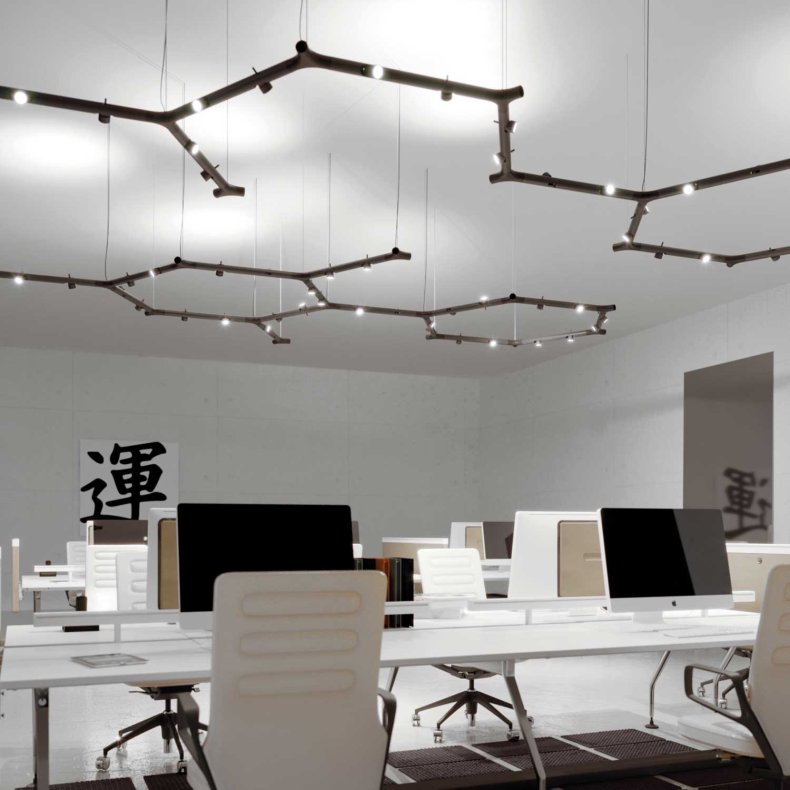 Calabronet Pendel System