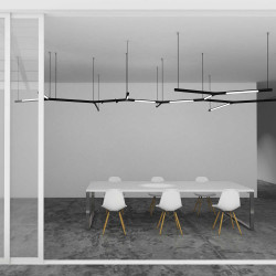 Calabronet Pendel System