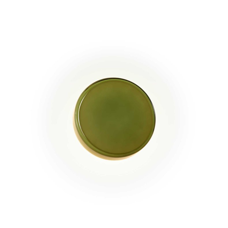 Caramel Green Wall Light