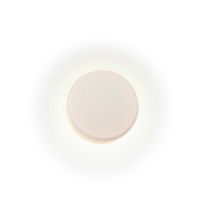 Caramel White Wall Light