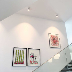 Clippo S Spot Ceiling Spotlight/Wall Spotlight