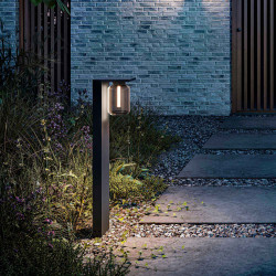 Dia Poller svart Hagelampe