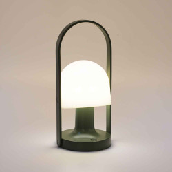 Followme Green Table Lamp