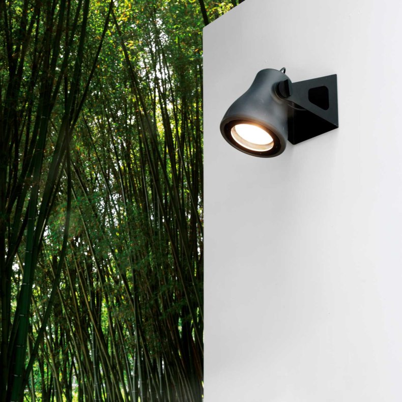 Frog Outdoor Wall Light