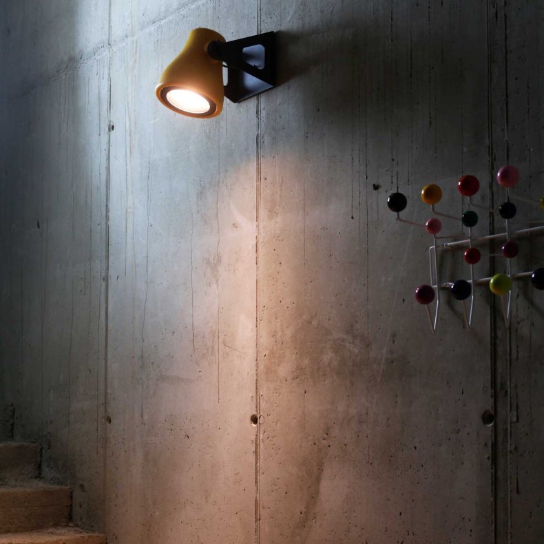 Frog Outdoor Wall Light