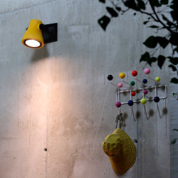 Frog Outdoor Wall Light