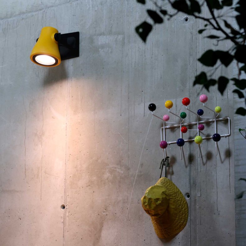 Frog Outdoor Wall Light