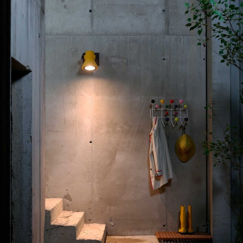 Frog Outdoor Wall Light