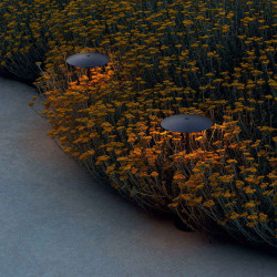 Ginger B 20 Havelampe