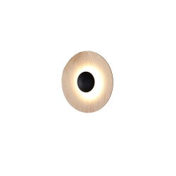 Ginger 20 Ceiling Light/Wall Light