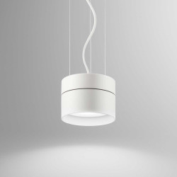 Hanging Piper Takpendel