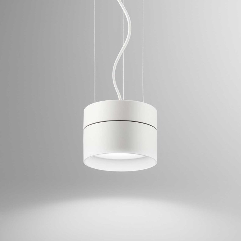 Hanging Piper Takpendel