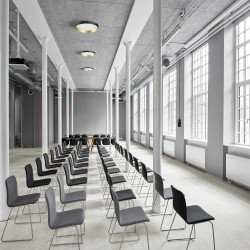 Lucia Black Gold 45 Ceiling Light