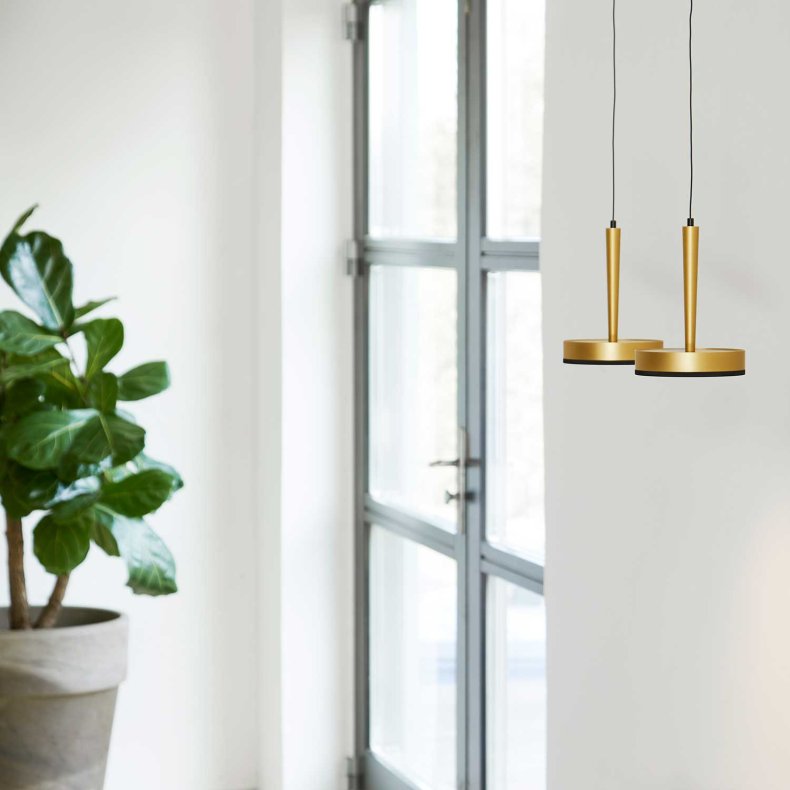 NYX P1 Matt Brass Pendant Light