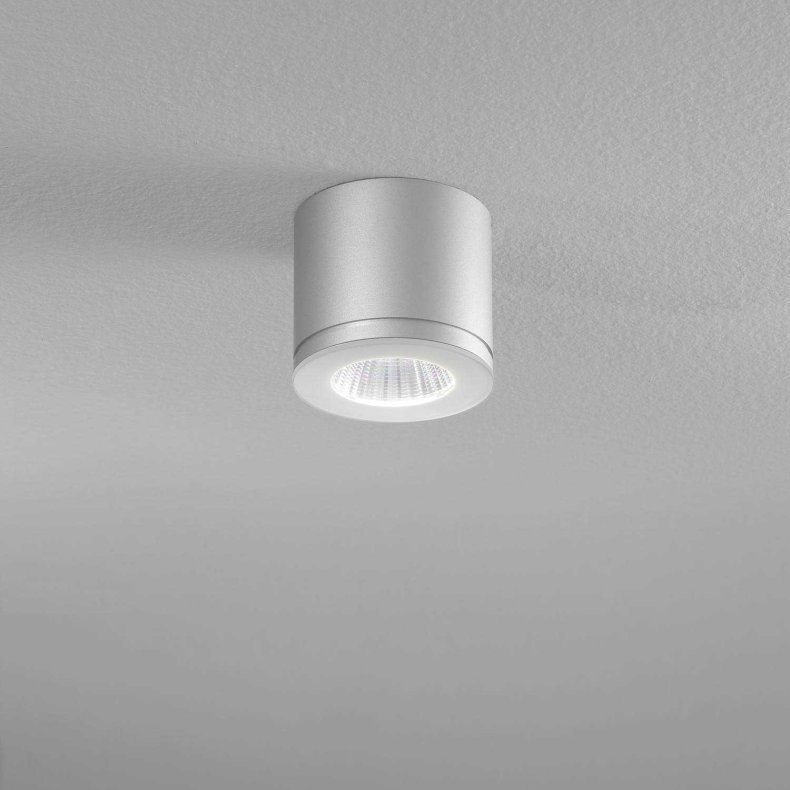 Newton 55 takspotlight