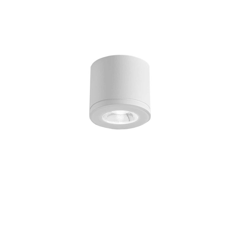 Newton 55 Ceiling Spotlight white