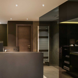 Newton 55 Ceiling Spotlight white