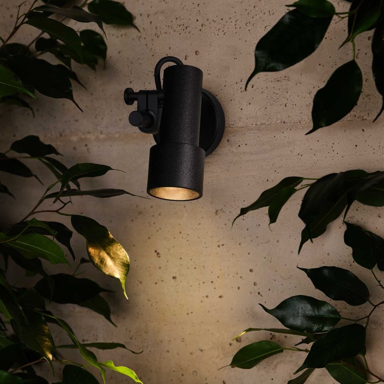 Palosanto A 5 Udendrs Vglampe