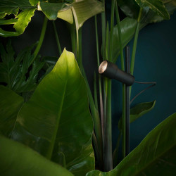 Palosanto B Havelampe