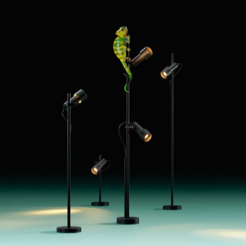 Palosanto B Havelampe