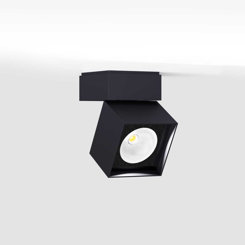 Pro S svart Utomhus Taklampa