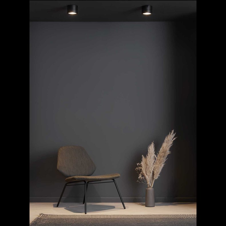 Ray Spot Tak/V&auml;ggspotlight