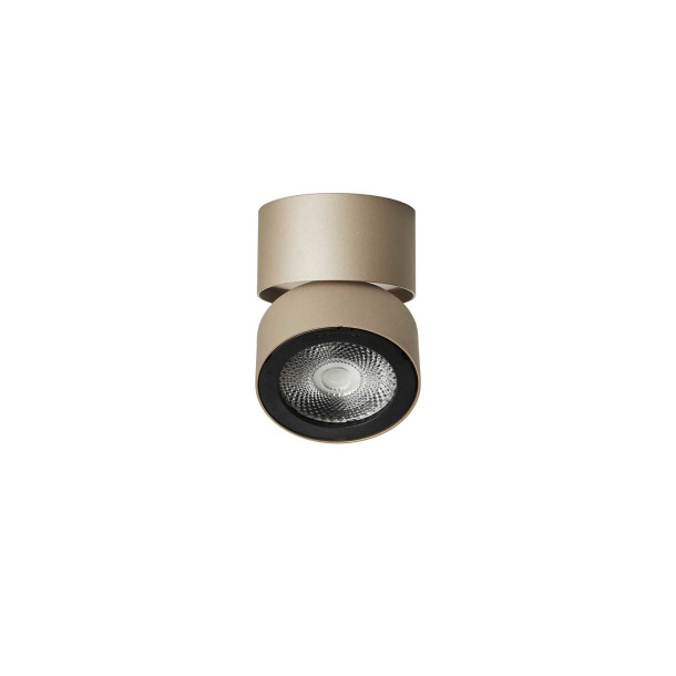 Ray Spot Ivory Gold