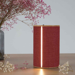 Silo 2 Rd Bluetooth Hjtaler