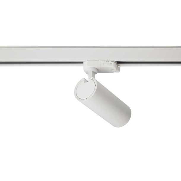 Space Track Spotlight White/Gold