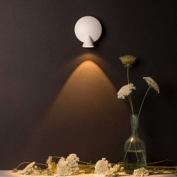 Tortuga Wall Light