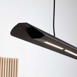 Vectris Z+ Svart Takpendel