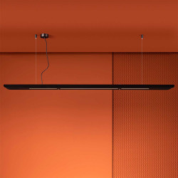 Vectris Z+ Svart Takpendel