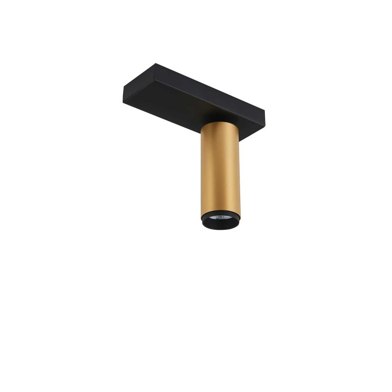 X-BEAM Single Gold/Black Ceiling/Wall Spotlight