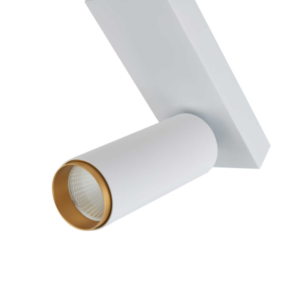 X-BEAM Single White/Gold