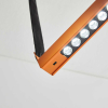 Belto Orange