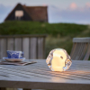 ICE BALL Bordlampe Guld