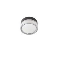 Otto Convex Wall/Ceiling Clear