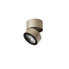 Ray Spot Ivory Gold