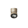 Ray Spot Ivory Gold