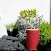 Silo 1 Red Speaker