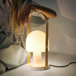 FollowMe Plus E27 Bordlampe