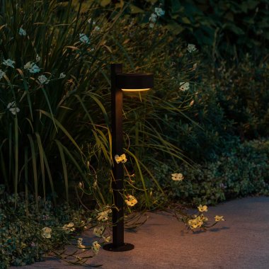 Trädgårdsbelysning