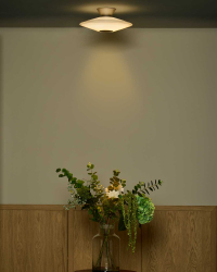Ceiling Lights
